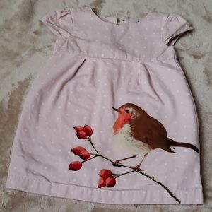 3T BabyGap Spring Dress Bird Print